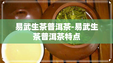 易武生茶普洱茶-易武生茶普洱茶特点