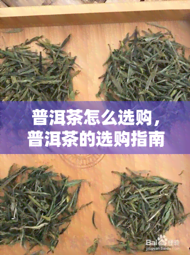 普洱茶怎么选购，普洱茶的选购指南：如何挑选优质的普洱茶？