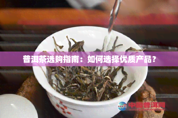 普洱茶选购指南：如何选择优质产品？