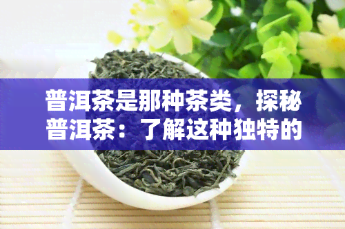 普洱茶是那种茶类，探秘普洱茶：了解这种独特的茶类