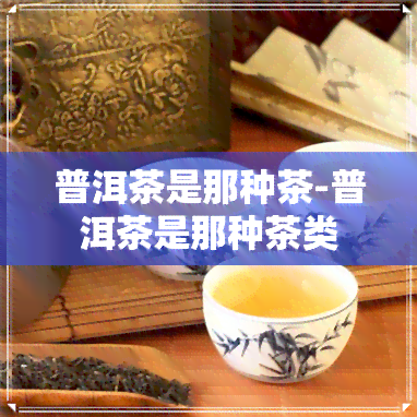 普洱茶是那种茶-普洱茶是那种茶类