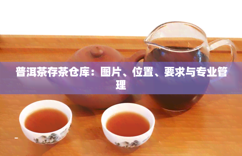 普洱茶存茶仓库：图片、位置、要求与专业管理