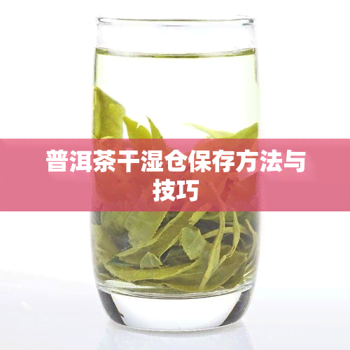 普洱茶干湿仓保存方法与技巧