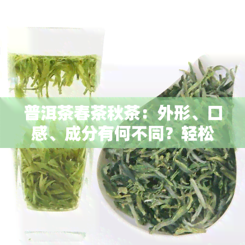 普洱茶春茶秋茶：外形、口感、成分有何不同？轻松教你鉴别！