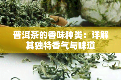 普洱茶的香味种类：详解其独特香气与味道