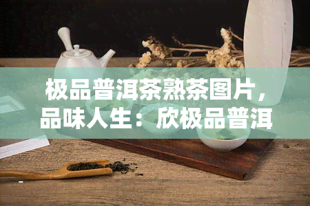 极品普洱茶熟茶图片，品味人生：欣极品普洱茶熟茶的精美图片