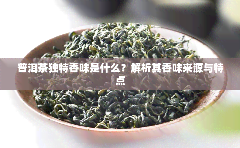 普洱茶独特香味是什么？解析其香味来源与特点