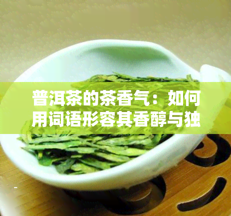 普洱茶的茶香气：如何用词语形容其香醇与独特韵味？