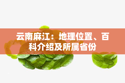 云南麻江：地理位置、百科介绍及所属省份