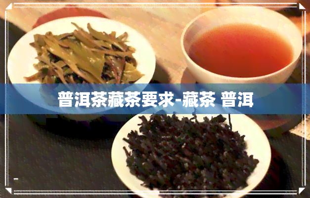 普洱茶藏茶要求-藏茶 普洱