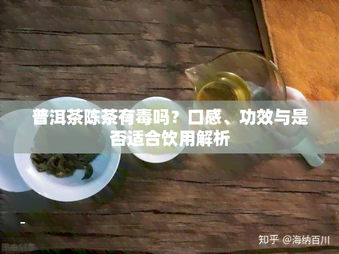 普洱茶陈茶有吗？口感、功效与是否适合饮用解析