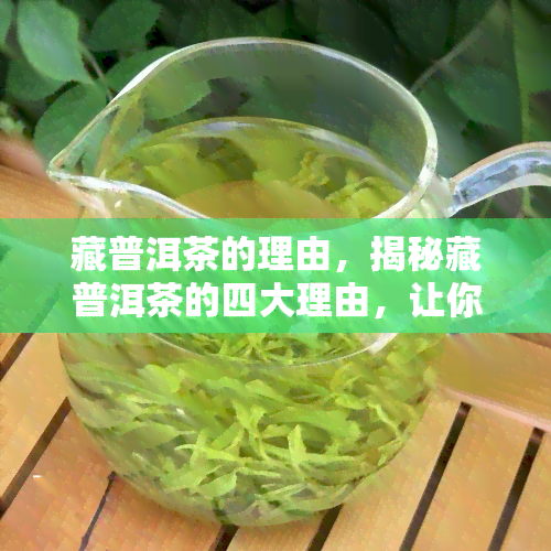 藏普洱茶的理由，揭秘藏普洱茶的四大理由，让你爱上这种独特的茶叶！