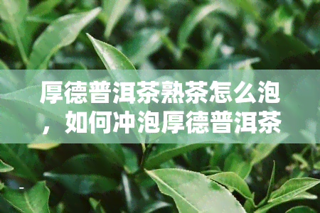 厚德普洱茶熟茶怎么泡，如何冲泡厚德普洱茶熟茶？一份详细的步骤指南