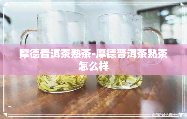 厚德普洱茶熟茶-厚德普洱茶熟茶怎么样