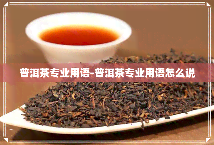 普洱茶专业用语-普洱茶专业用语怎么说