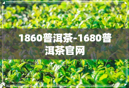 1860普洱茶-1680普洱茶官网