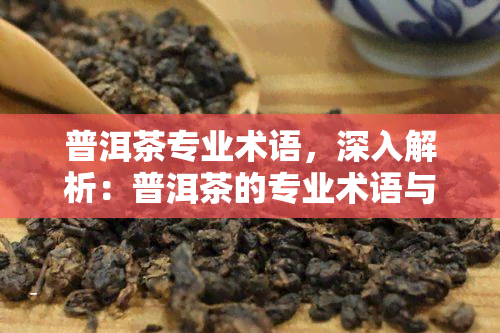 普洱茶专业术语，深入解析：普洱茶的专业术语与含义