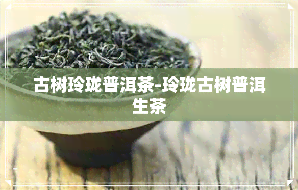 古树玲珑普洱茶-玲珑古树普洱生茶