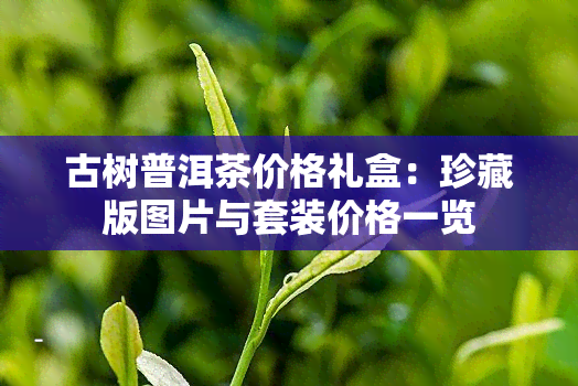 古树普洱茶价格礼盒：珍藏版图片与套装价格一览