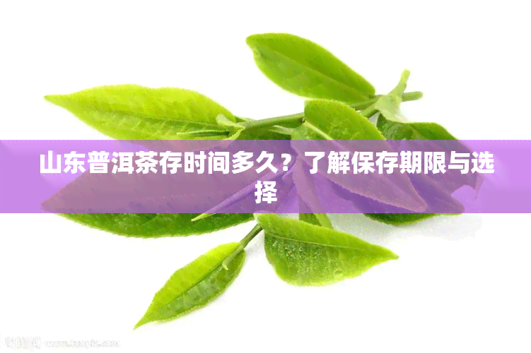 山东普洱茶存时间多久？了解保存期限与选择