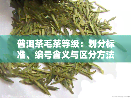 普洱茶毛茶等级：划分标准、编号含义与区分方法