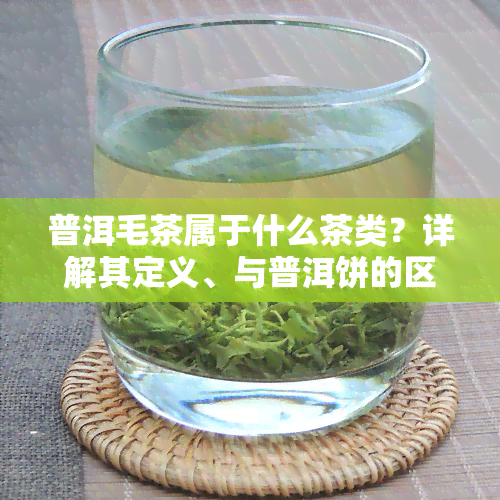 普洱毛茶属于什么茶类？详解其定义、与普洱饼的区别，以及与其他茶（如普洱毛尖、普洱毛峰）的关系