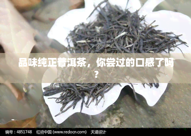 品味纯正普洱茶，你尝过的口感了吗？