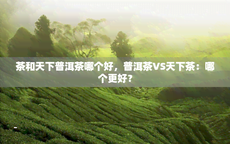 茶和天下普洱茶哪个好，普洱茶VS天下茶：哪个更好？