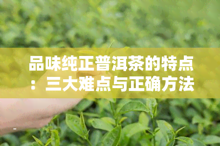 品味纯正普洱茶的特点：三大难点与正确方法