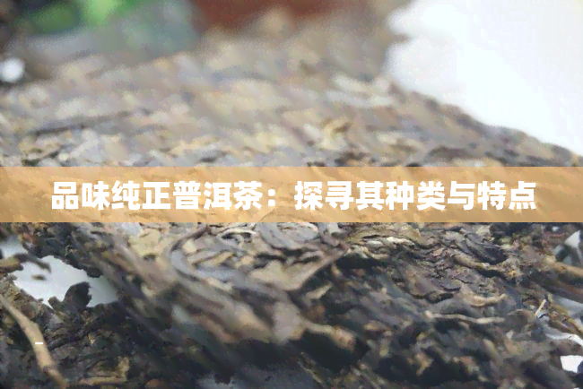 品味纯正普洱茶：探寻其种类与特点