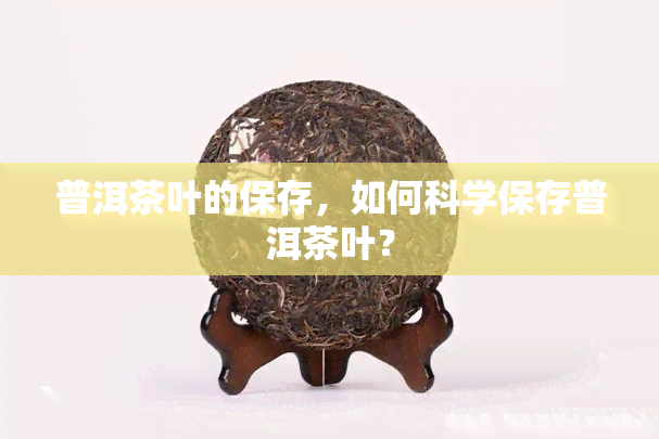 普洱茶叶的保存，如何科学保存普洱茶叶？