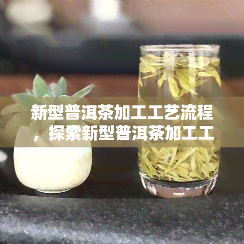 新型普洱茶加工工艺流程，探索新型普洱茶加工工艺流程：从叶到成品的全过程解析