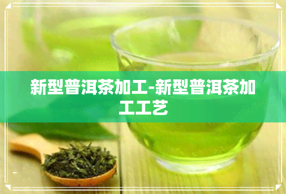 新型普洱茶加工-新型普洱茶加工工艺