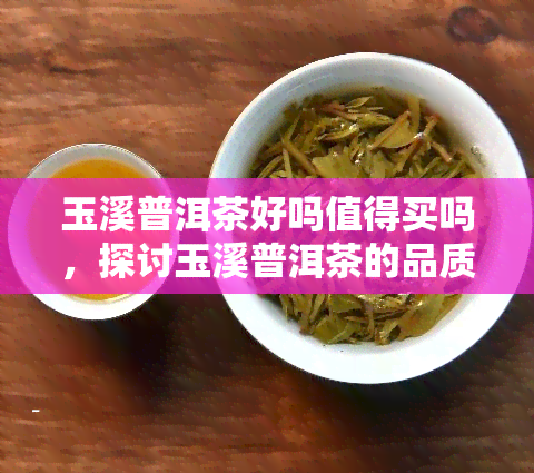 玉溪普洱茶好吗值得买吗，探讨玉溪普洱茶的品质与价值，是否值得购买？