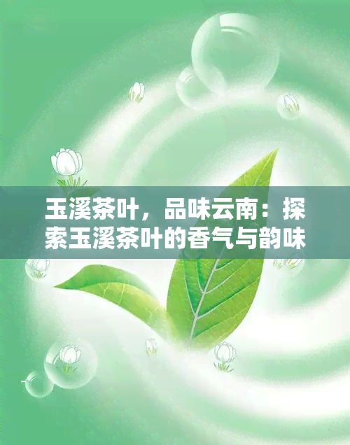 玉溪茶叶，品味云南：探索玉溪茶叶的香气与韵味