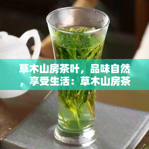 草木山房茶叶，品味自然，享受生活：草木山房茶叶的魅力探索