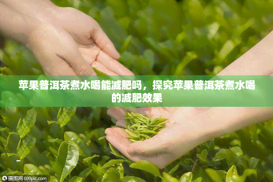 苹果普洱茶煮水喝能减肥吗，探究苹果普洱茶煮水喝的减肥效果