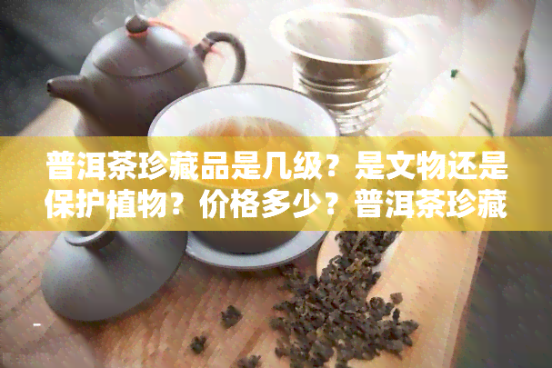 普洱茶珍藏品是几级？是文物还是保护植物？价格多少？普洱茶珍藏版含义及价格又是怎样的？