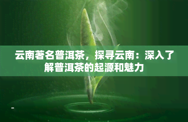 云南著名普洱茶，探寻云南：深入了解普洱茶的起源和魅力