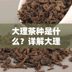 大理茶种是什么？详解大理茶叶、名品及分布情况