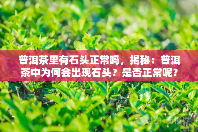 普洱茶里有石头正常吗，揭秘：普洱茶中为何会出现石头？是否正常呢？