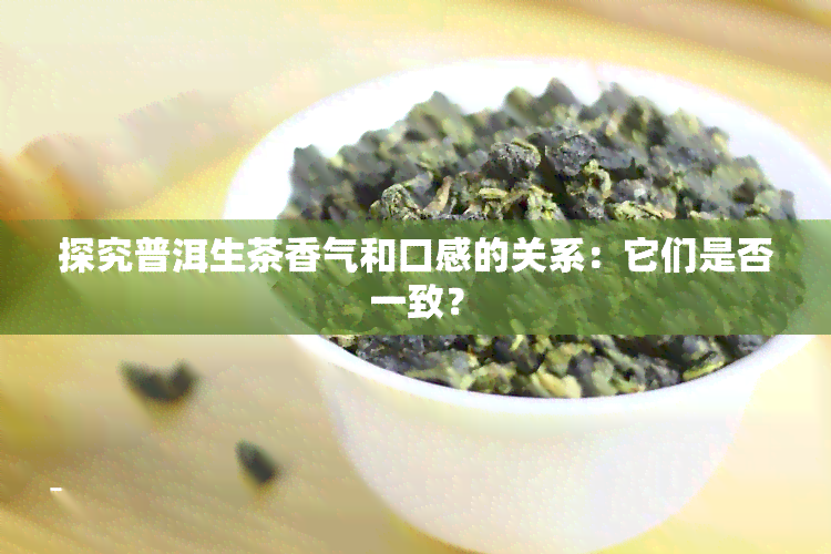 探究普洱生茶香气和口感的关系：它们是否一致？