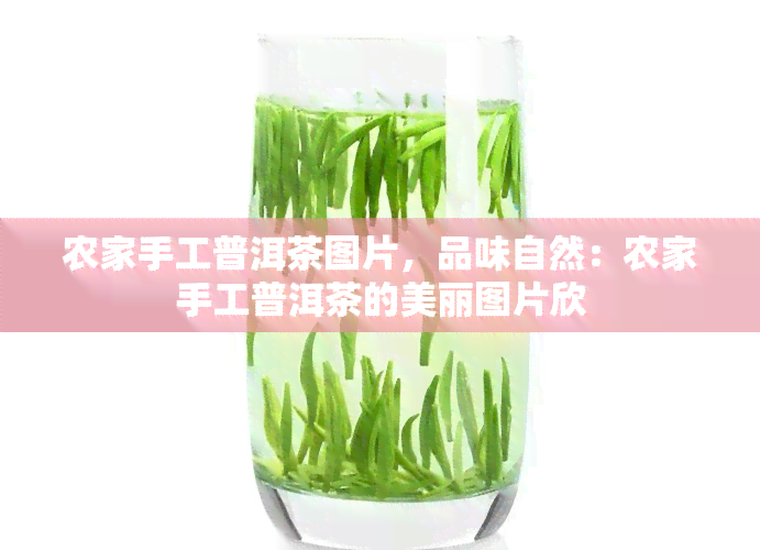 农家手工普洱茶图片，品味自然：农家手工普洱茶的美丽图片欣