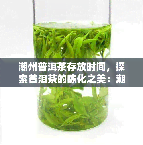 潮州普洱茶存放时间，探索普洱茶的陈化之美：潮州普洱茶的存放时间