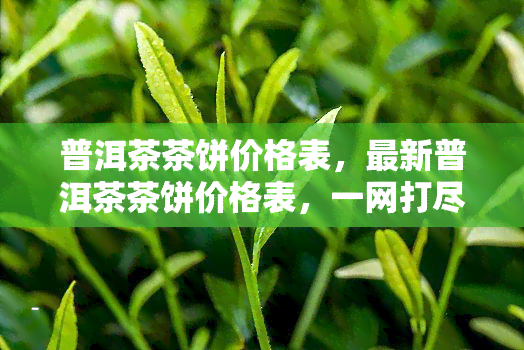 普洱茶茶饼价格表，最新普洱茶茶饼价格表，一网打尽各类热门品种！