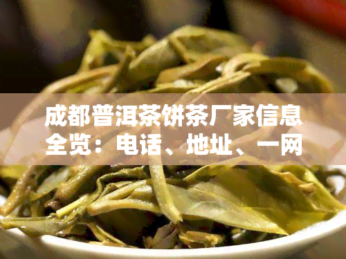 成都普洱茶饼茶厂家信息全览：电话、地址、一网打尽！