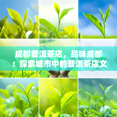 成都普洱茶店，品味成都：探索城市中的普洱茶店文化