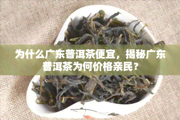 为什么广东普洱茶便宜，揭秘广东普洱茶为何价格亲民？