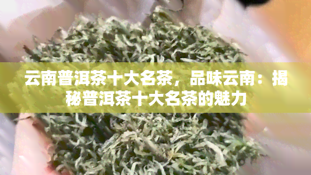 云南普洱茶十大名茶，品味云南：揭秘普洱茶十大名茶的魅力