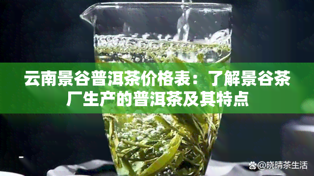 云南景谷普洱茶价格表：了解景谷茶厂生产的普洱茶及其特点